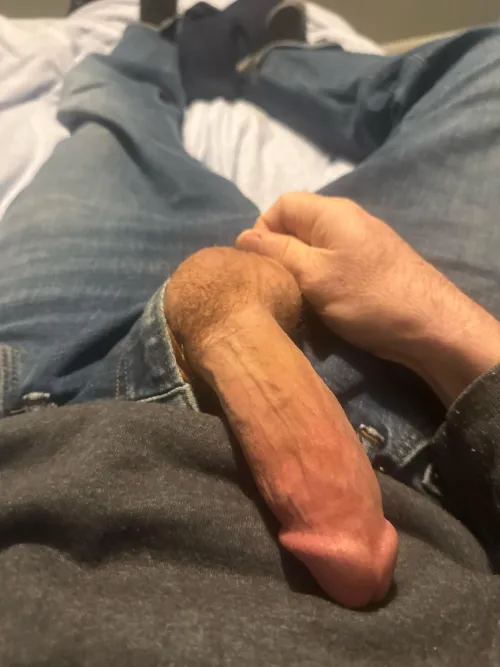 Happy halloweenie. (51).