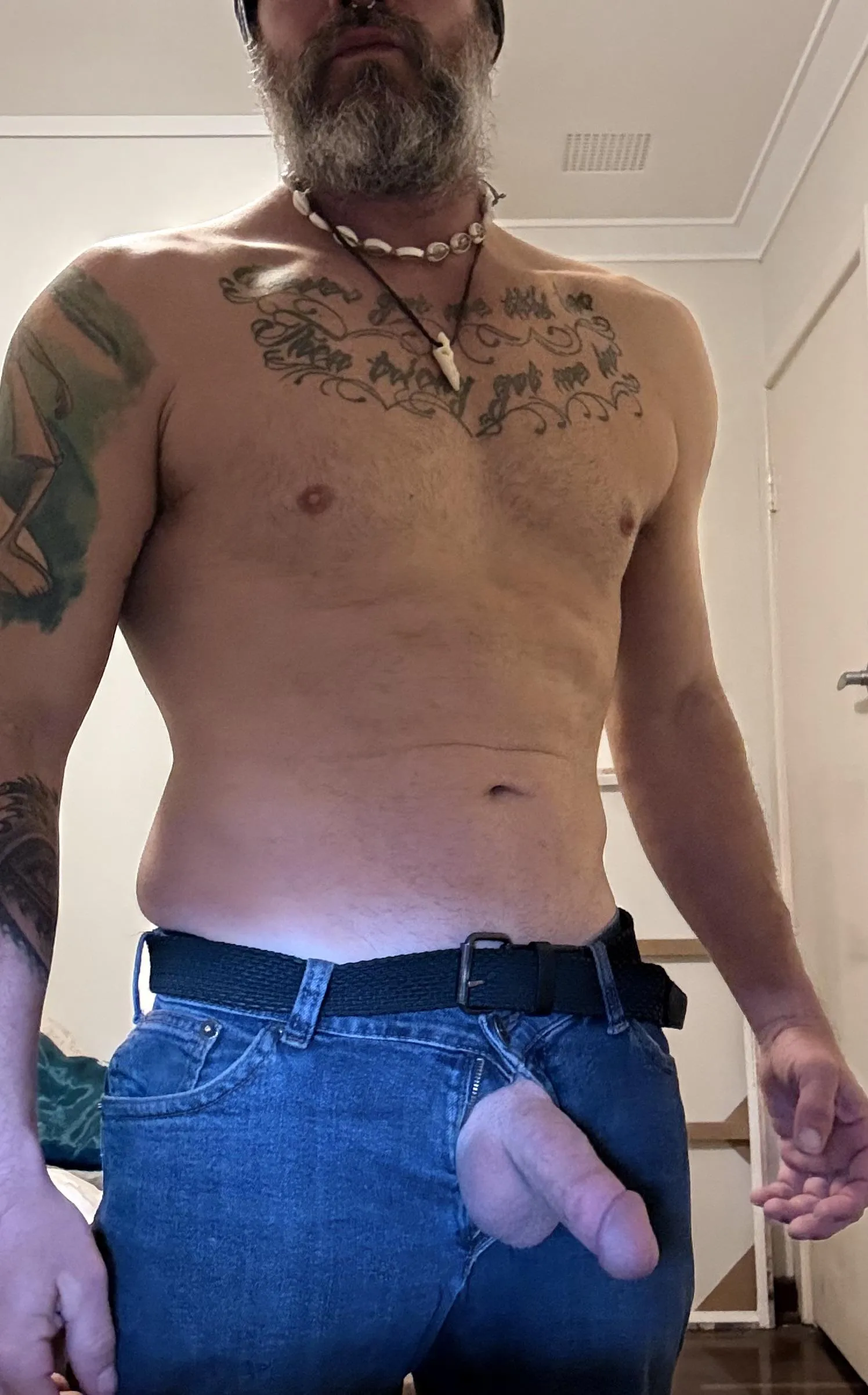 In the morning light (47)