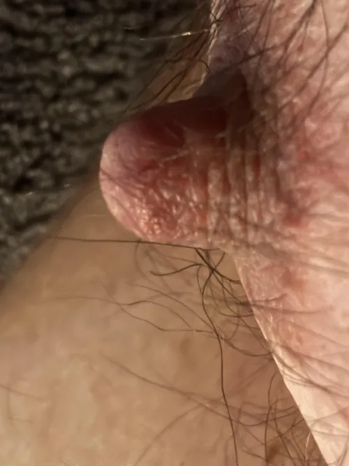 Need local bud to chew on this. Coram area