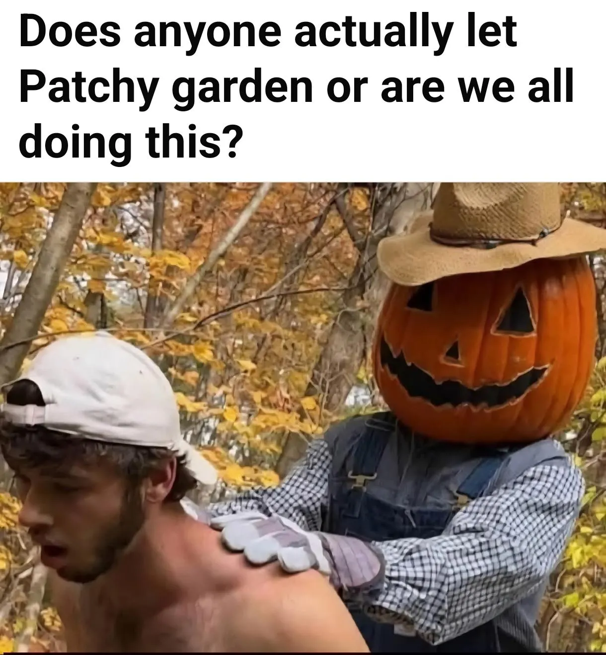 Pumpkin spiced dom top