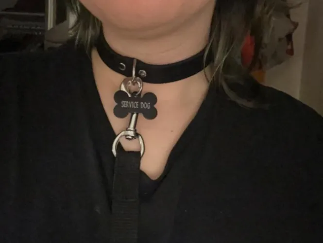 Got a new collar and tag <3