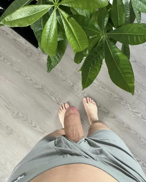 (25) Just Hanging Out