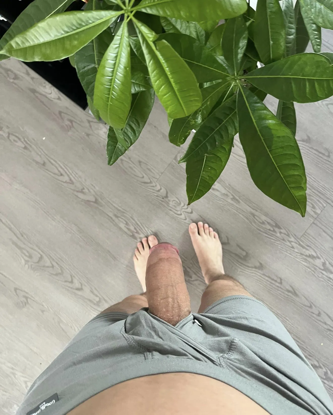 (25) Just Hanging Out