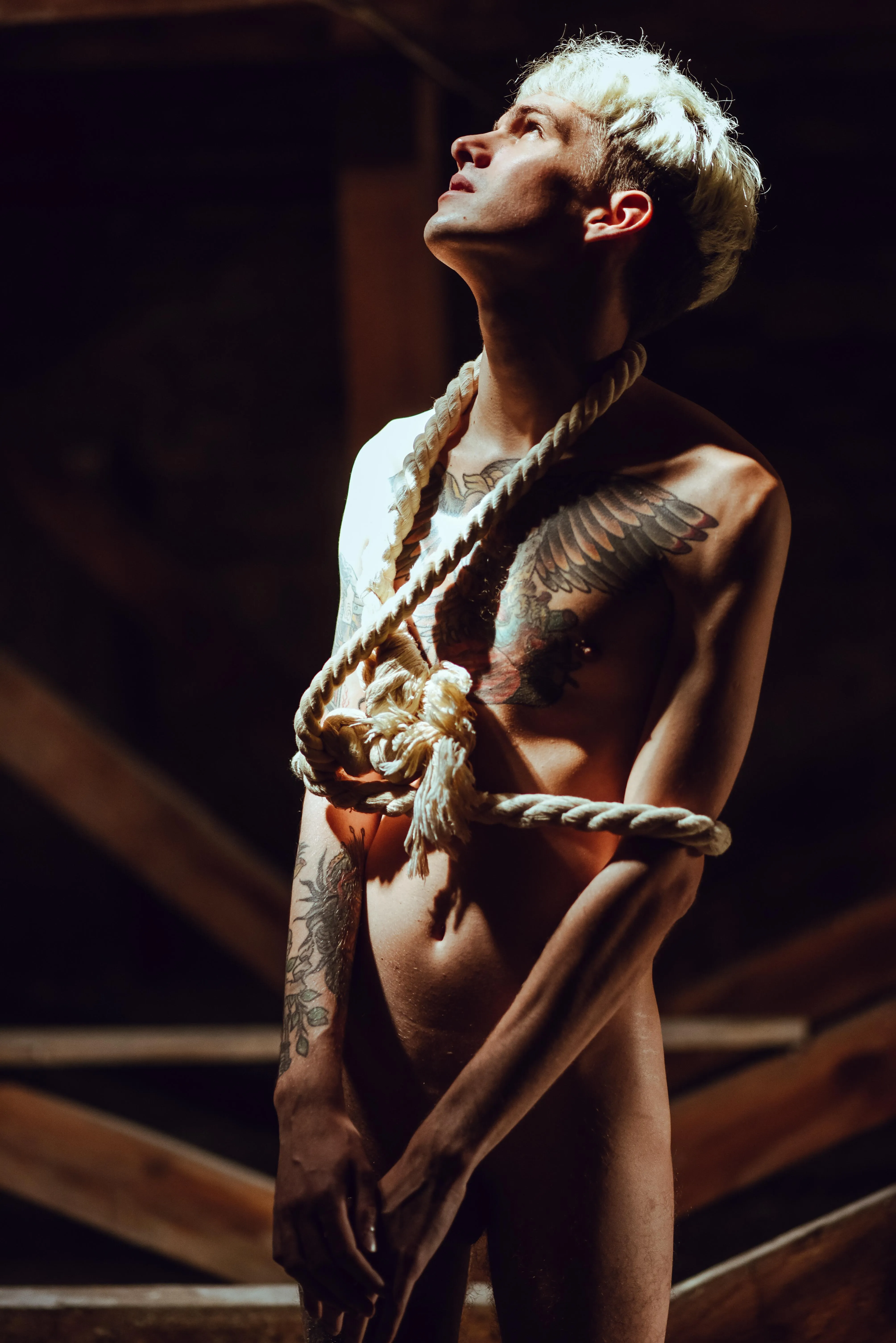 The photographer called me to the attic and then tied me up, of my own free will, of course