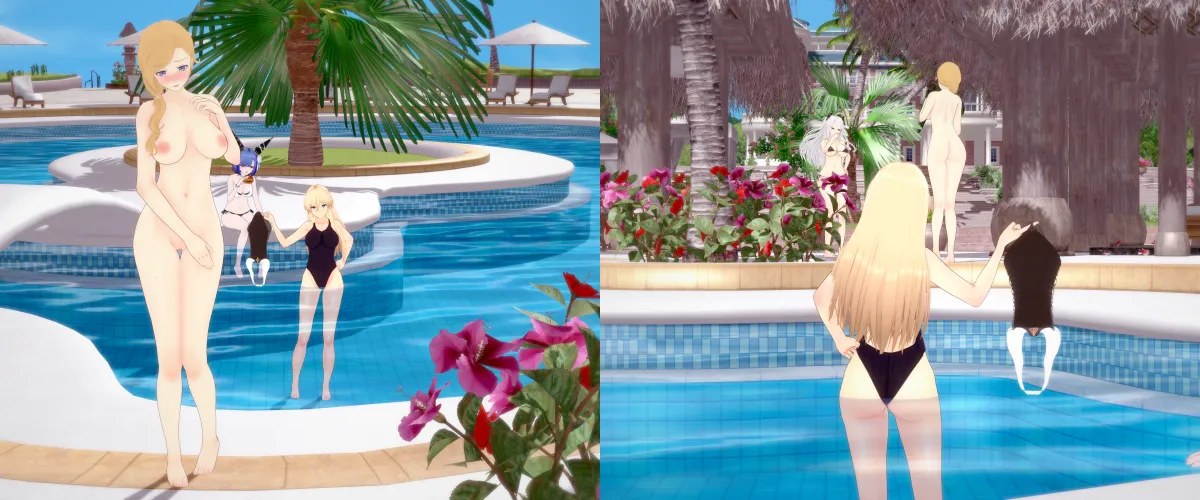 Hood's Stolen Swimsuit