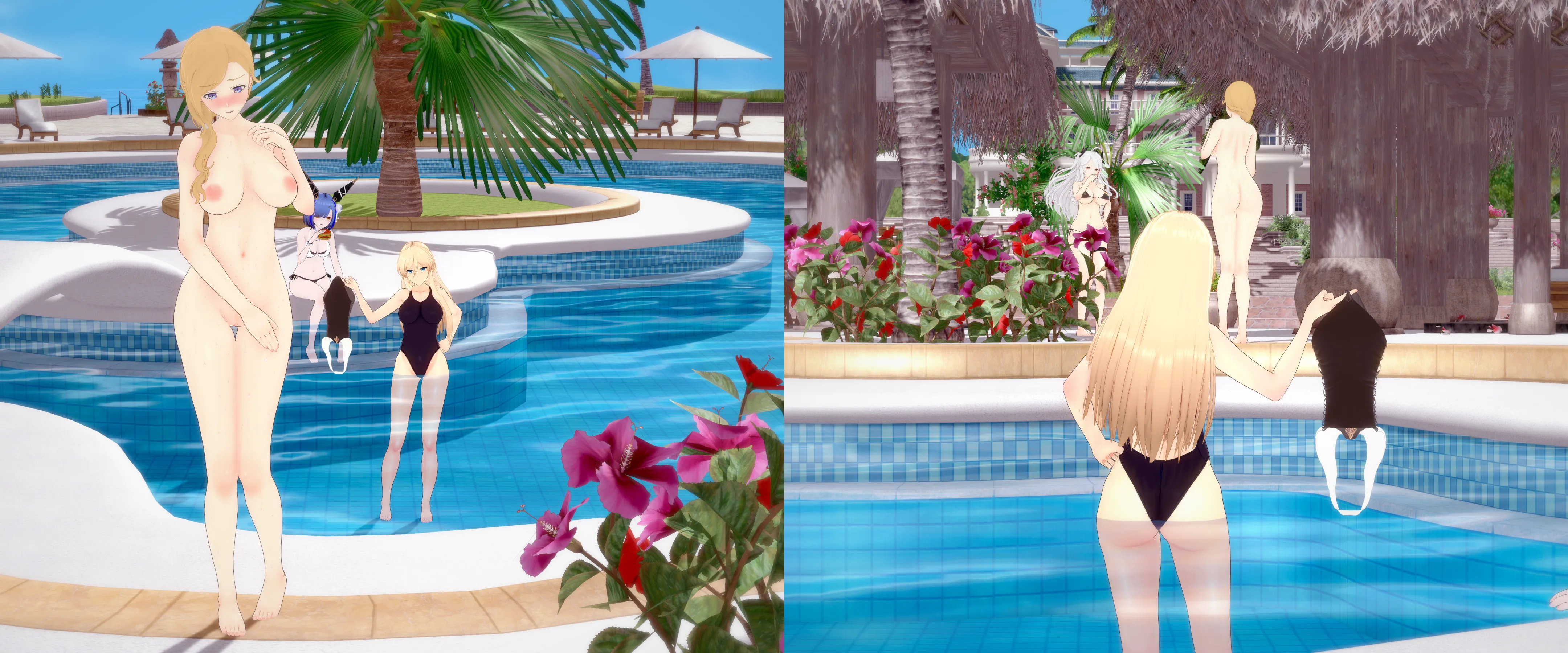 Hood's Stolen Swimsuit