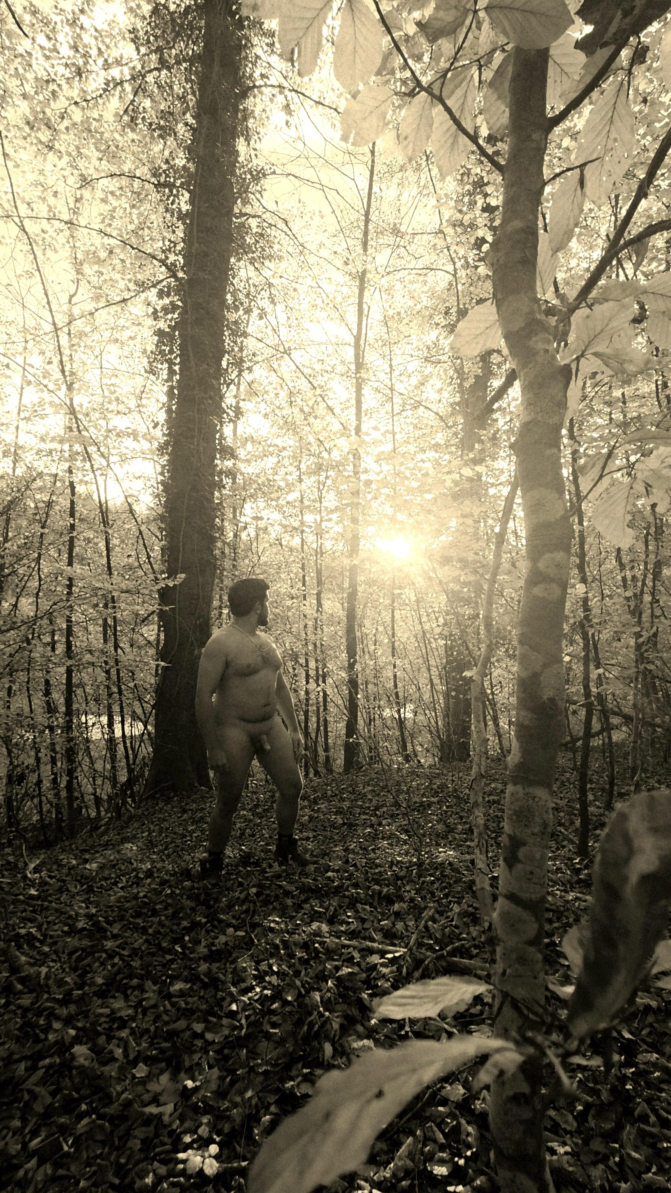 Lost in woods, found in the moment.Only thing covering me is the changing light.