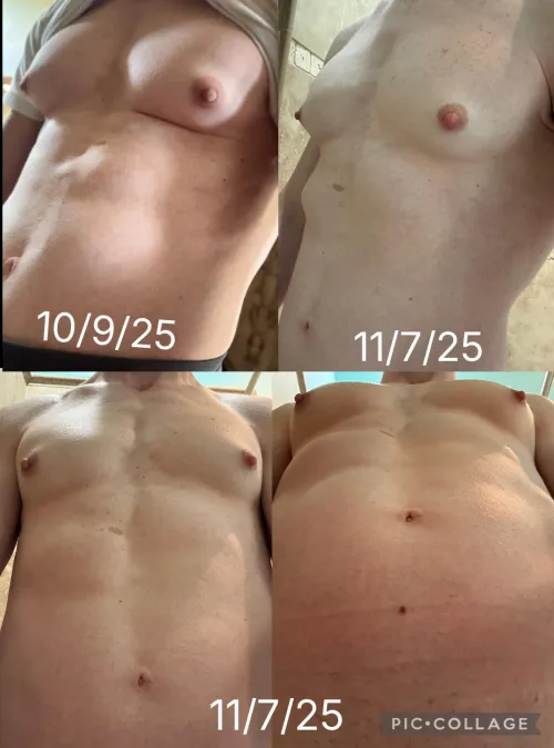 1 month on estrogen monotherapy: progress.