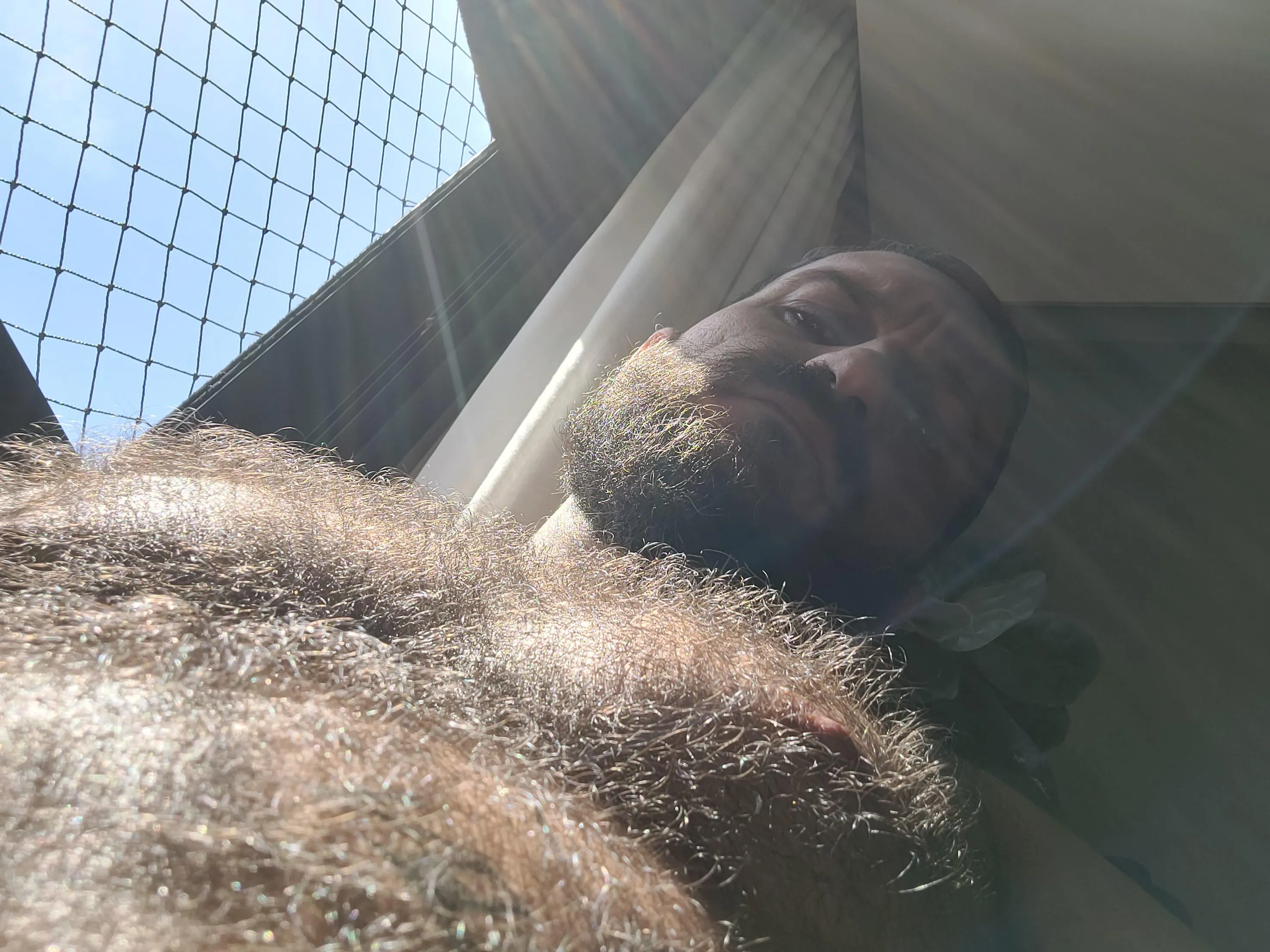 Hairy sunny chest