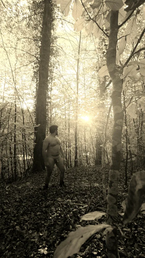 Lost in the woods, found in the moment. The only thing covering me is the changing light.