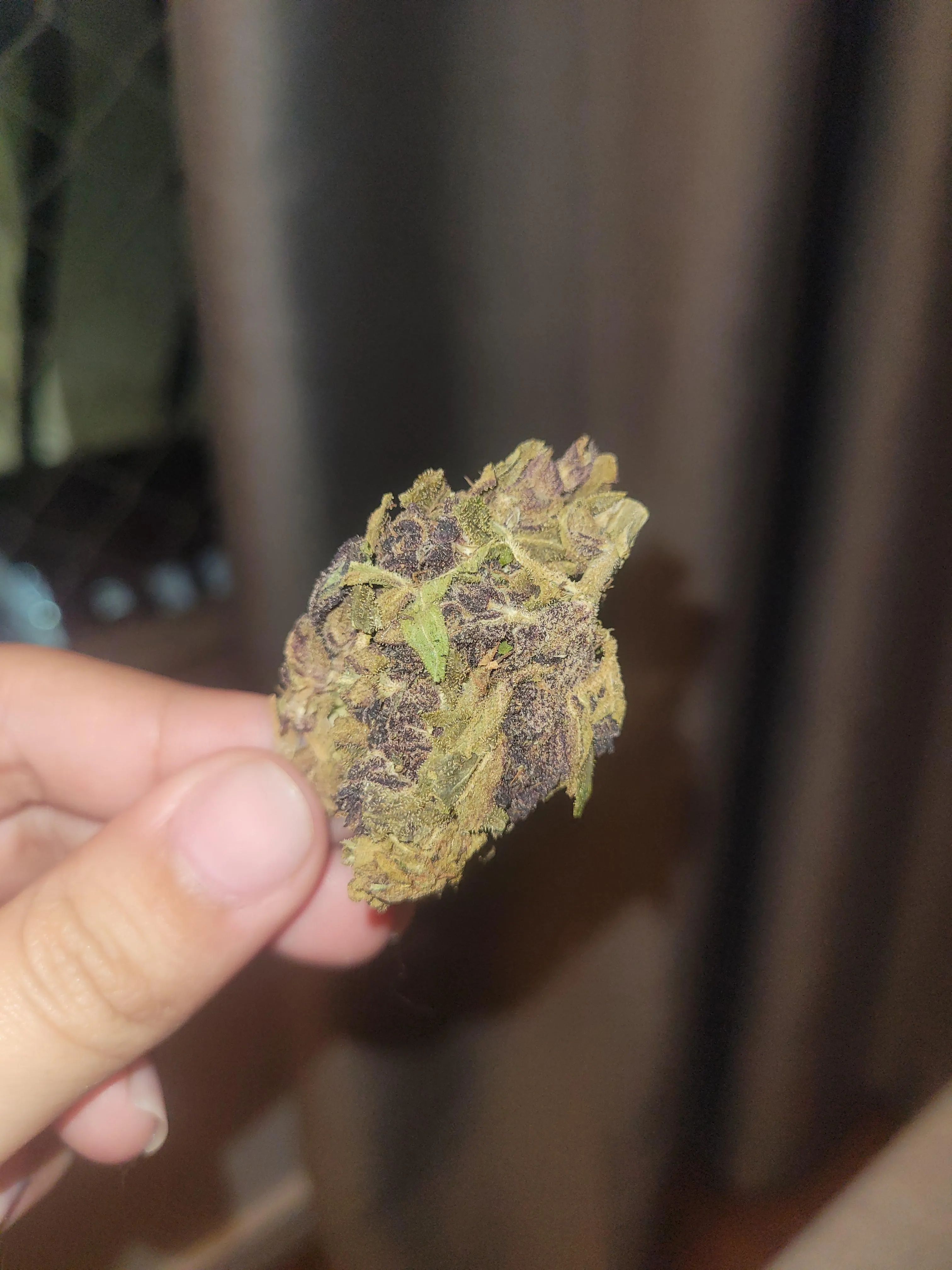 Purple haze $20 a G. Fiz bom negócio?