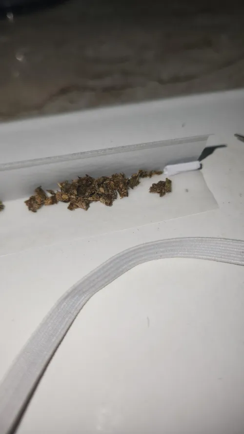 Sextou, hora de ficar chapada sozinha