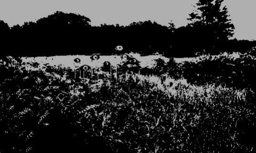 My plants are gr👁️wing nicely! 