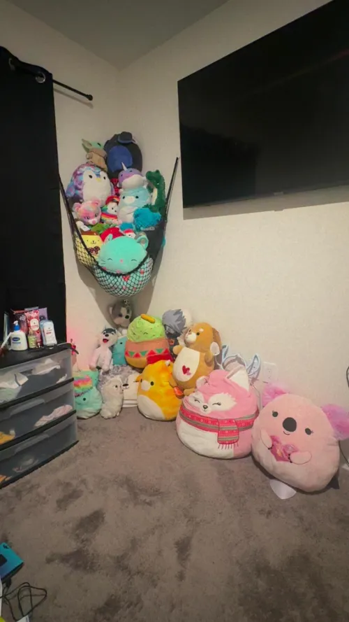 I put my net up hehe I may have did it wrong but yay