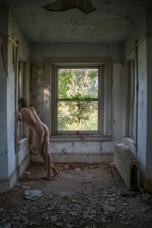 Mansard style farmhouse tower room