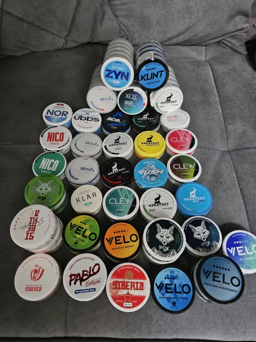 Pretty new in the pouch game , what should i try first ?