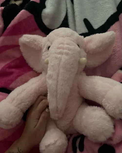 This is my first post , but I wanted to show my new stuffy. Her name is Beatrice