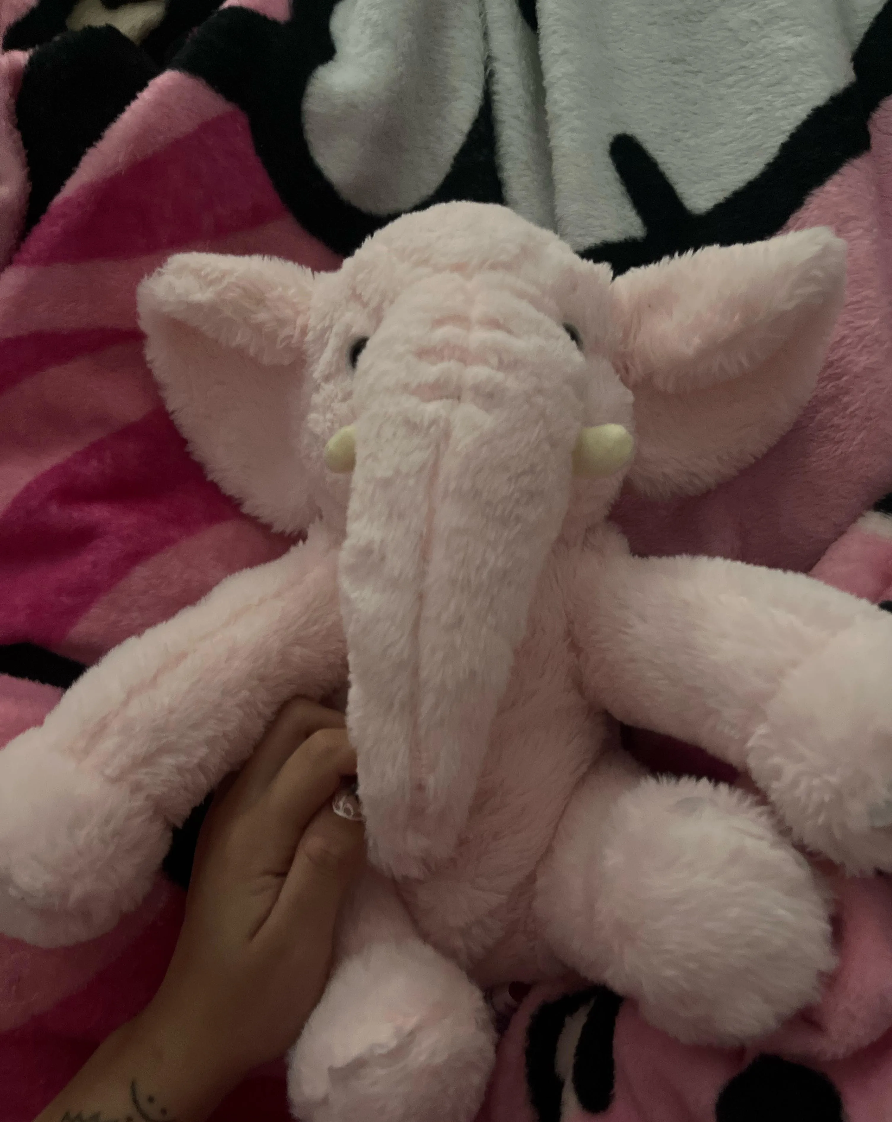 This is my first post , but I wanted to show my new stuffy. Her name is Beatrice