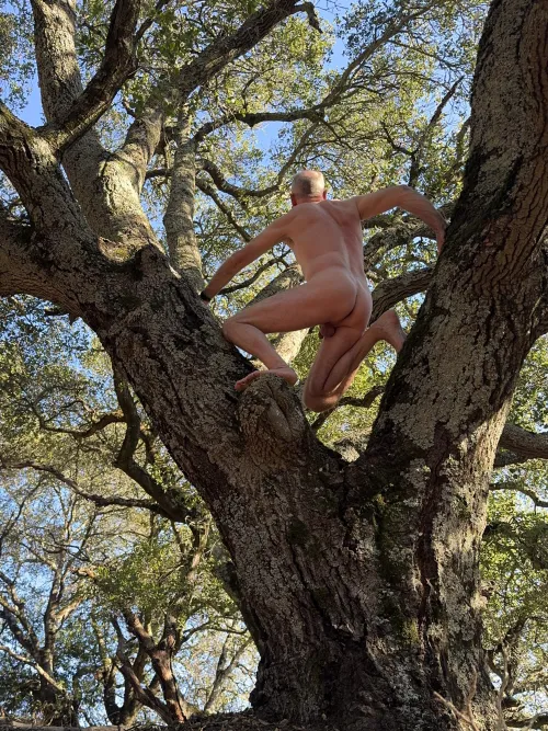 Tree Pose Tuesday 🍃