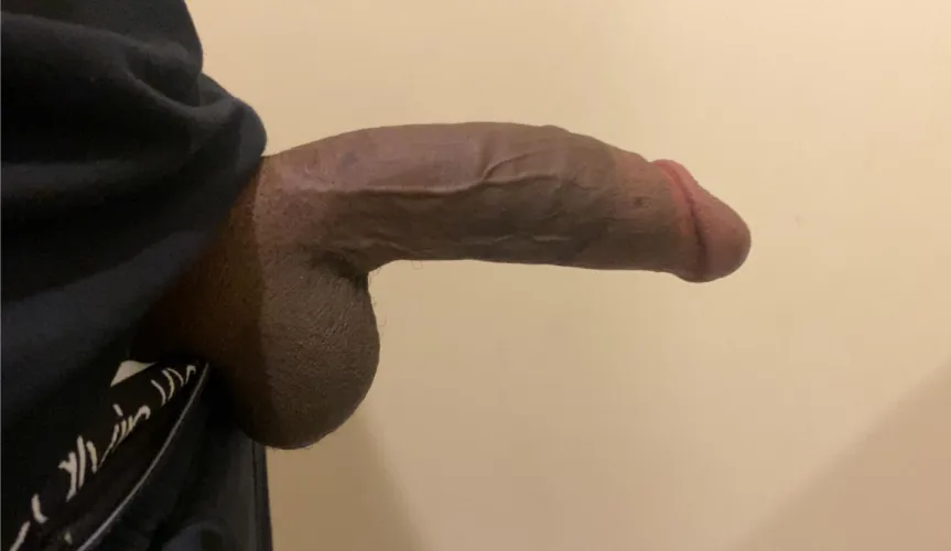 Trimmed bush on a Snowbunny 😤