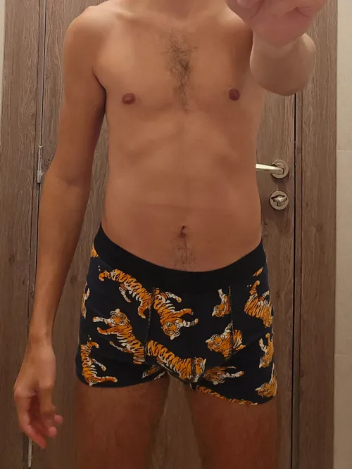 [29] You can touch the tiger doesn't bite!