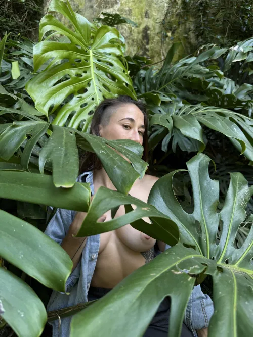 A field full of Monstera. What do you do?