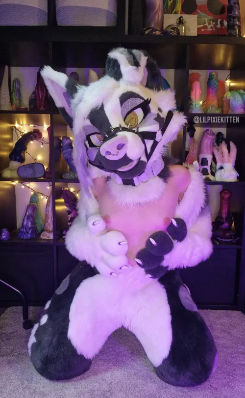 Can you tell this pup loves toys? Got a full wall of them behind me