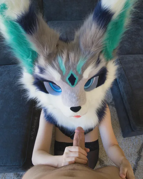 Hey! That's not how you boop my snoot! But since it's here...