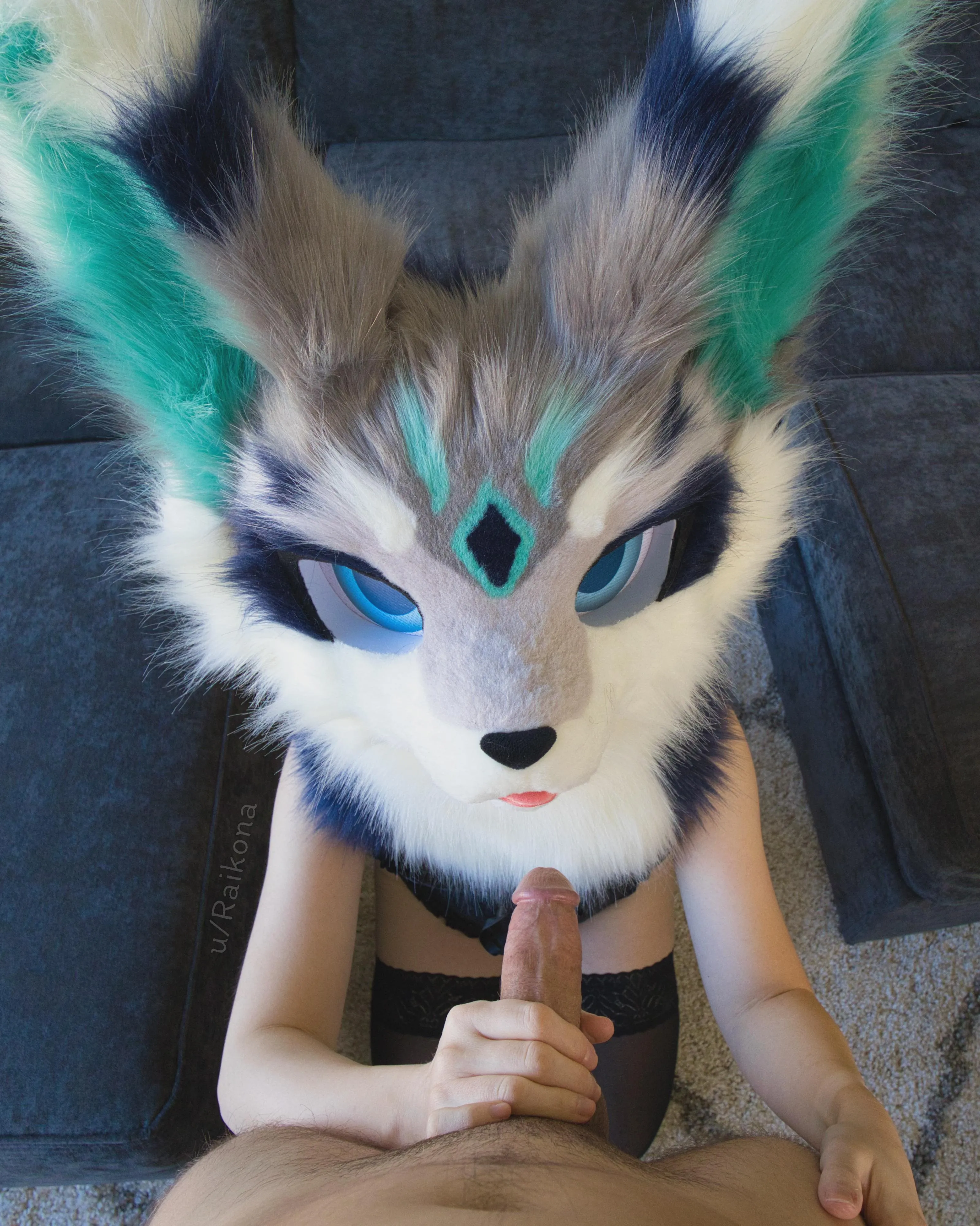 Hey! That's not how you boop my snoot! But since it's here...