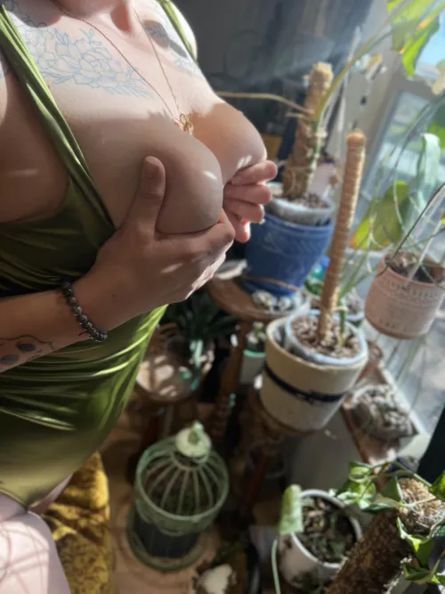 Today I am cleaning out the camera roll how are my planty friends doing on this fine hump day?