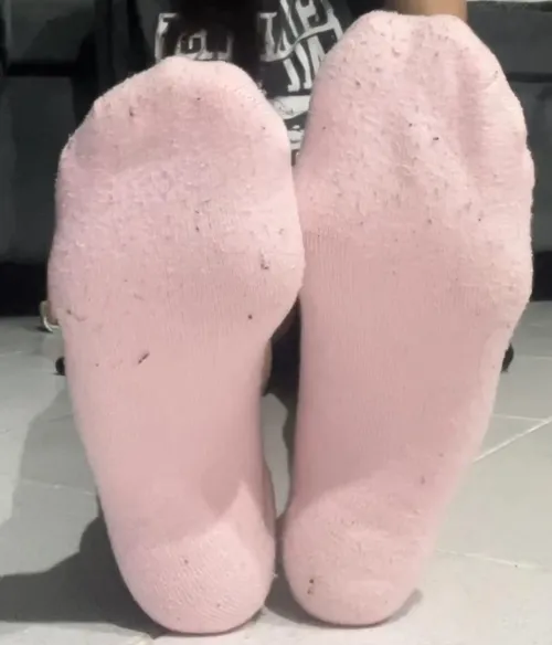 Went to smell my stinky white socks?