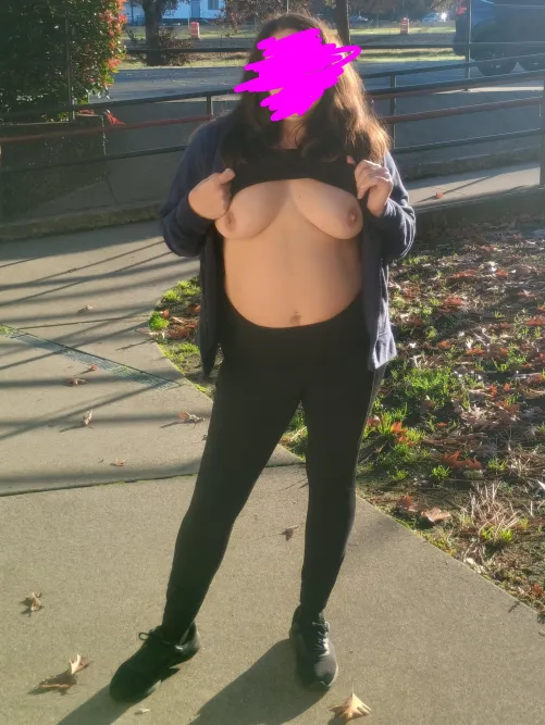 Rest stop titty flash