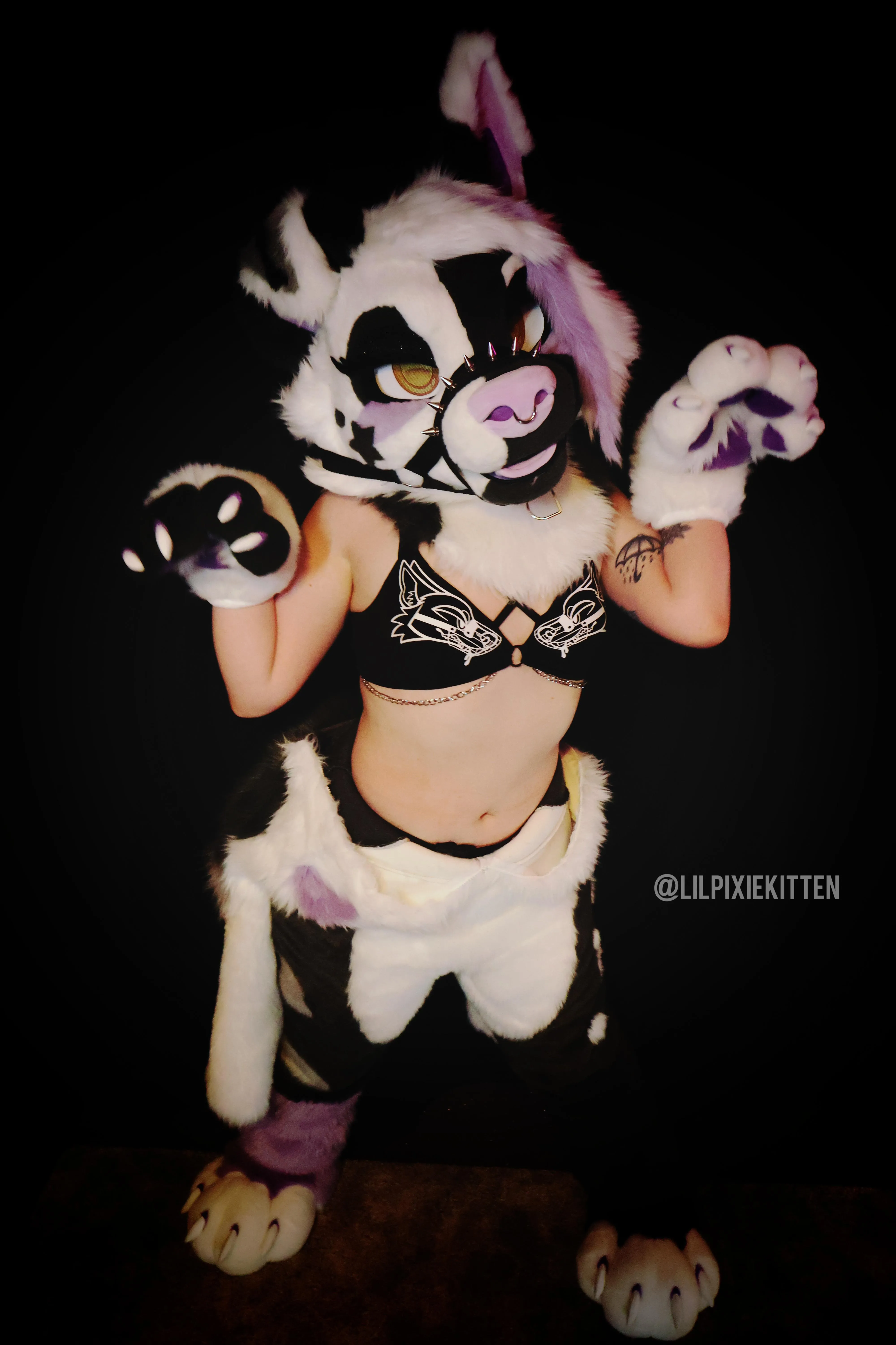 Banana pealed puppy 🍌🐶 [LilPixieKitten]