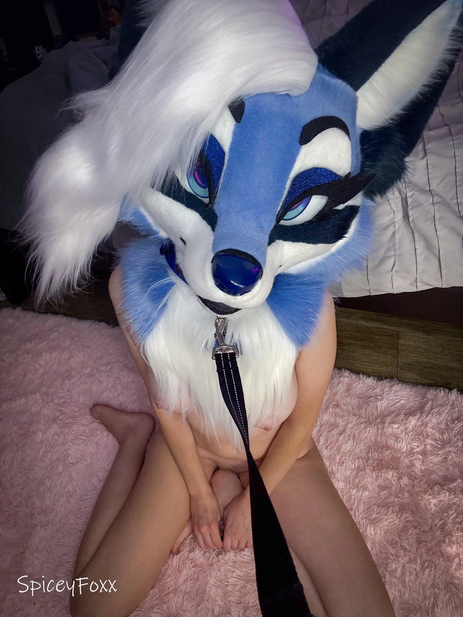 Collar me and claim me as your own ❤️ [SpiceyFoxx]