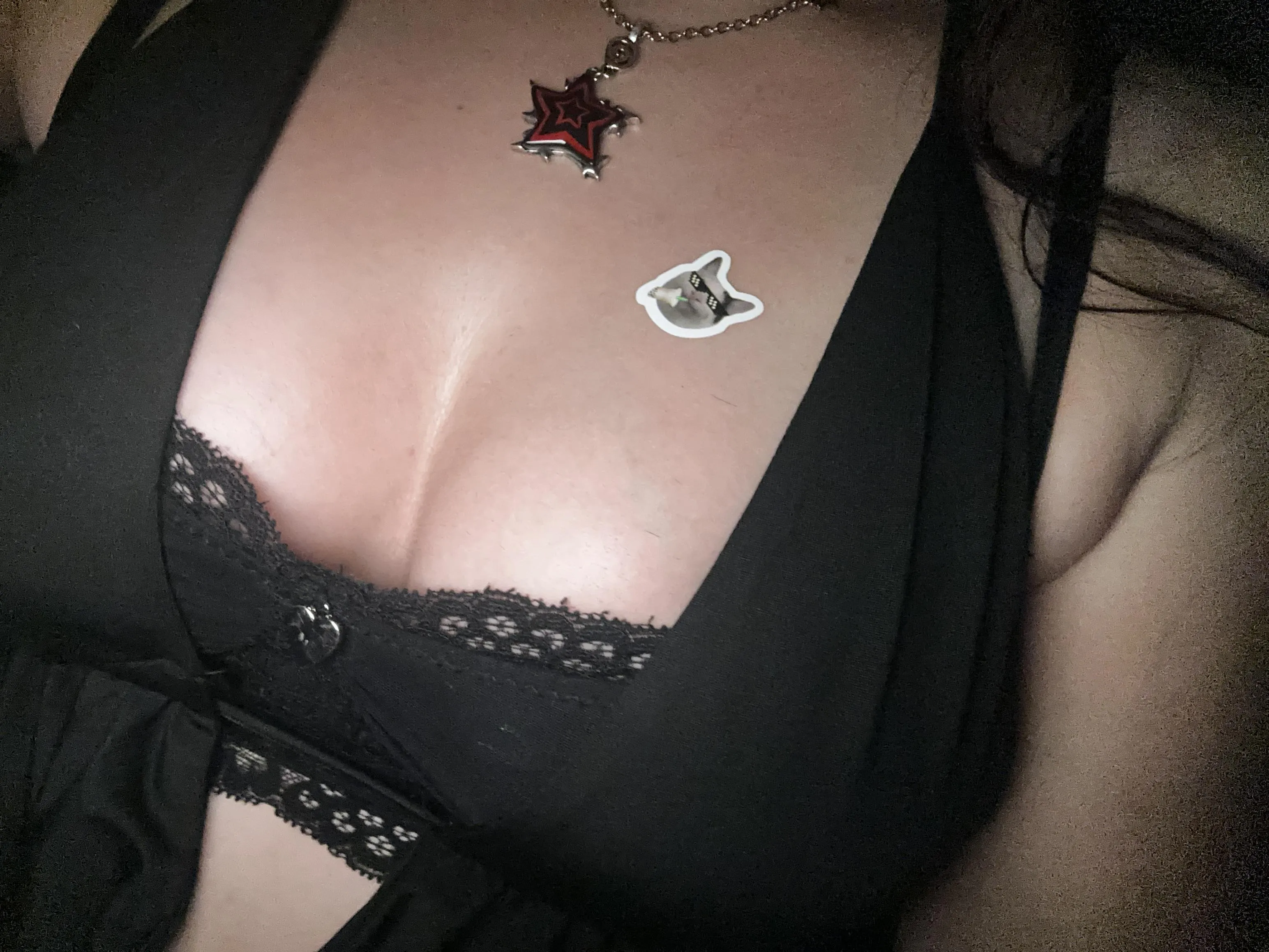 kitty on my…😽🤭