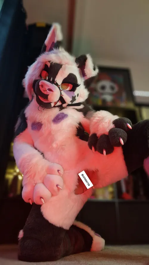 Unzipped for you to use 🥵 [LilPixieKitten]