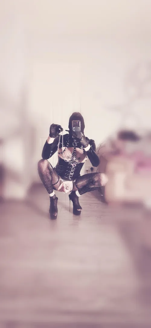 Who's going to take the leash?