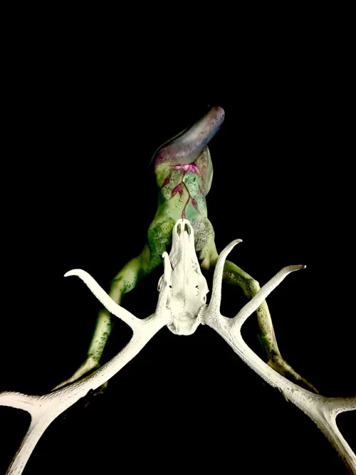 LucidArtDreams - Aewyn