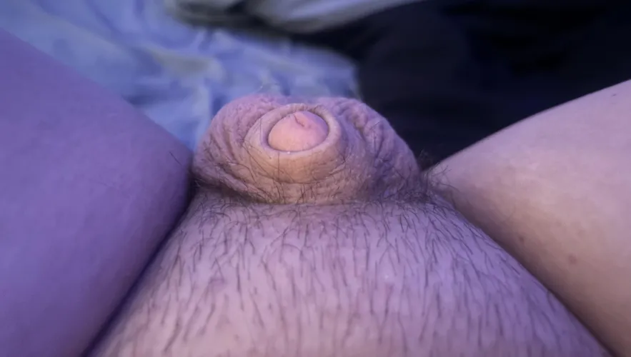 What would you say the size is?