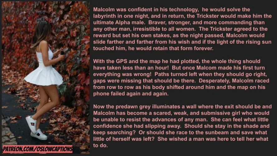 The Trickster's Maze