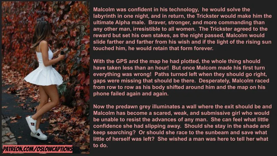 The Trickster's Maze