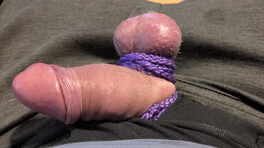 Cheeky selfbondage while wfh ;)