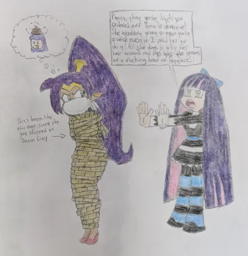 Defective Temu Genie Problems