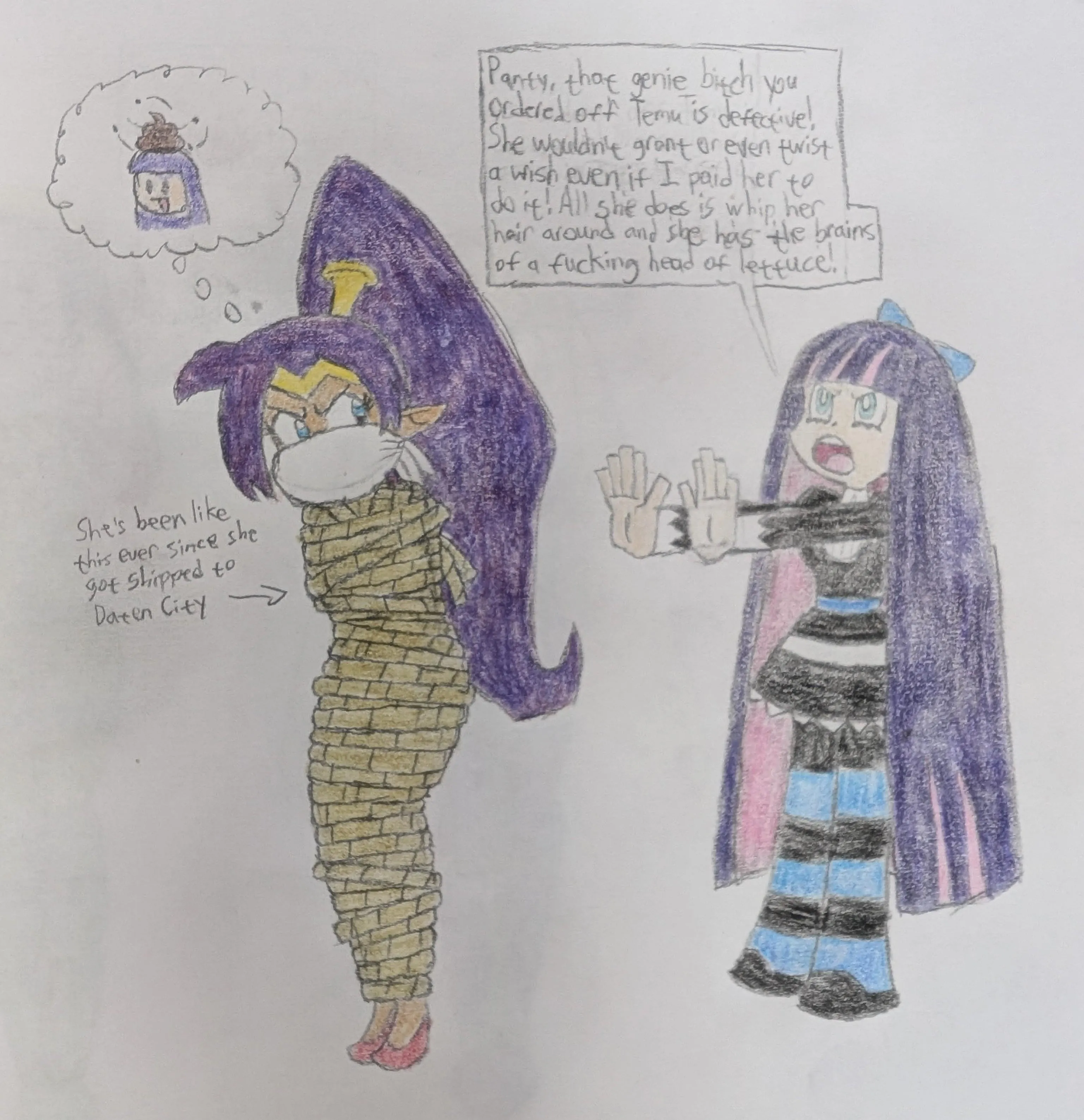 Defective Temu Genie Problems