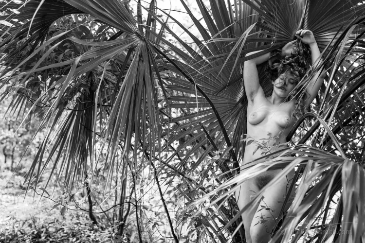 song of the stellar wind | Elisa Dandelion by The PhotoSmith