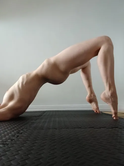 The dark side of the moon