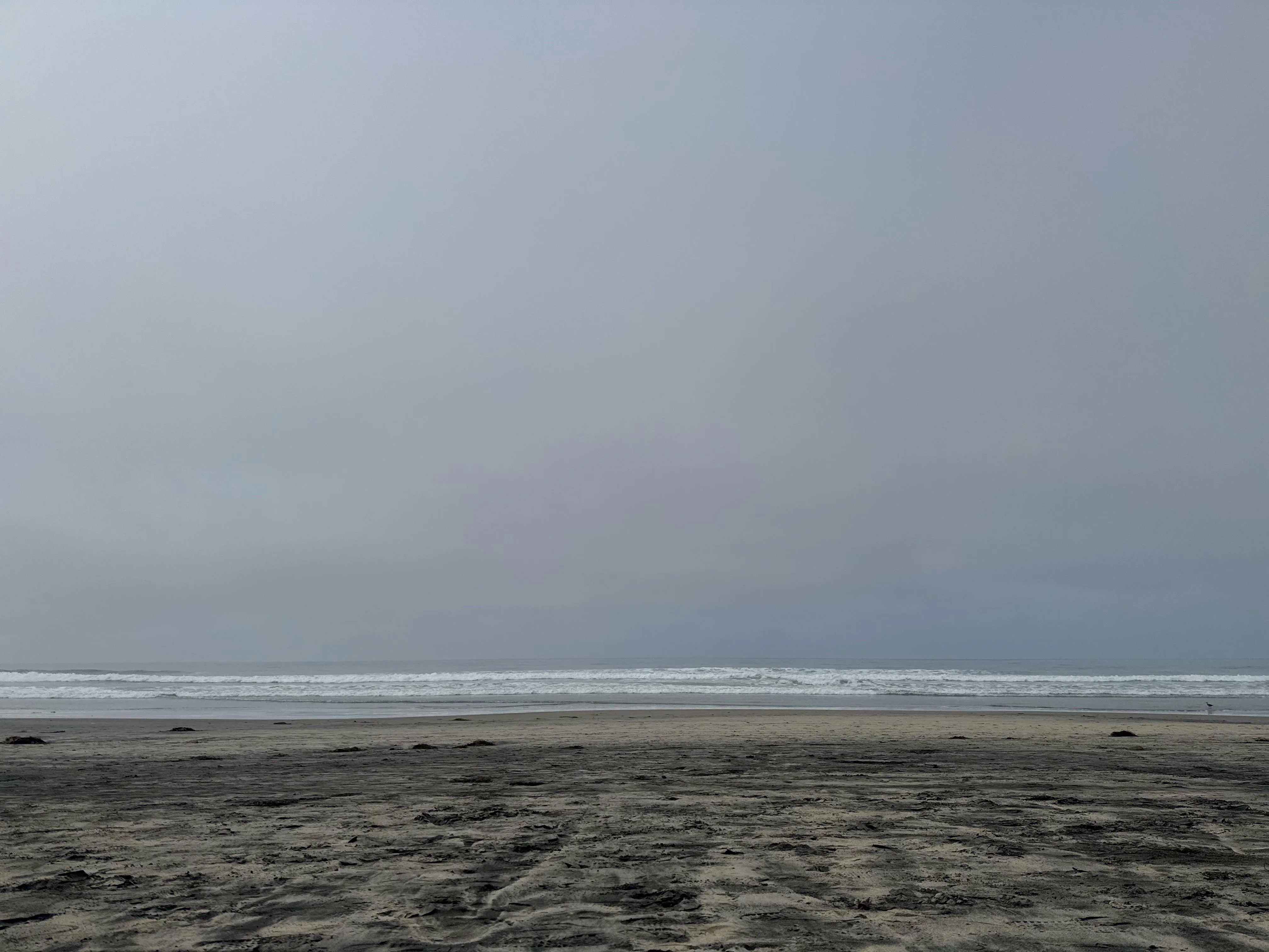 Veterans Day great weather