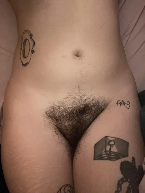 my bush has never been so full