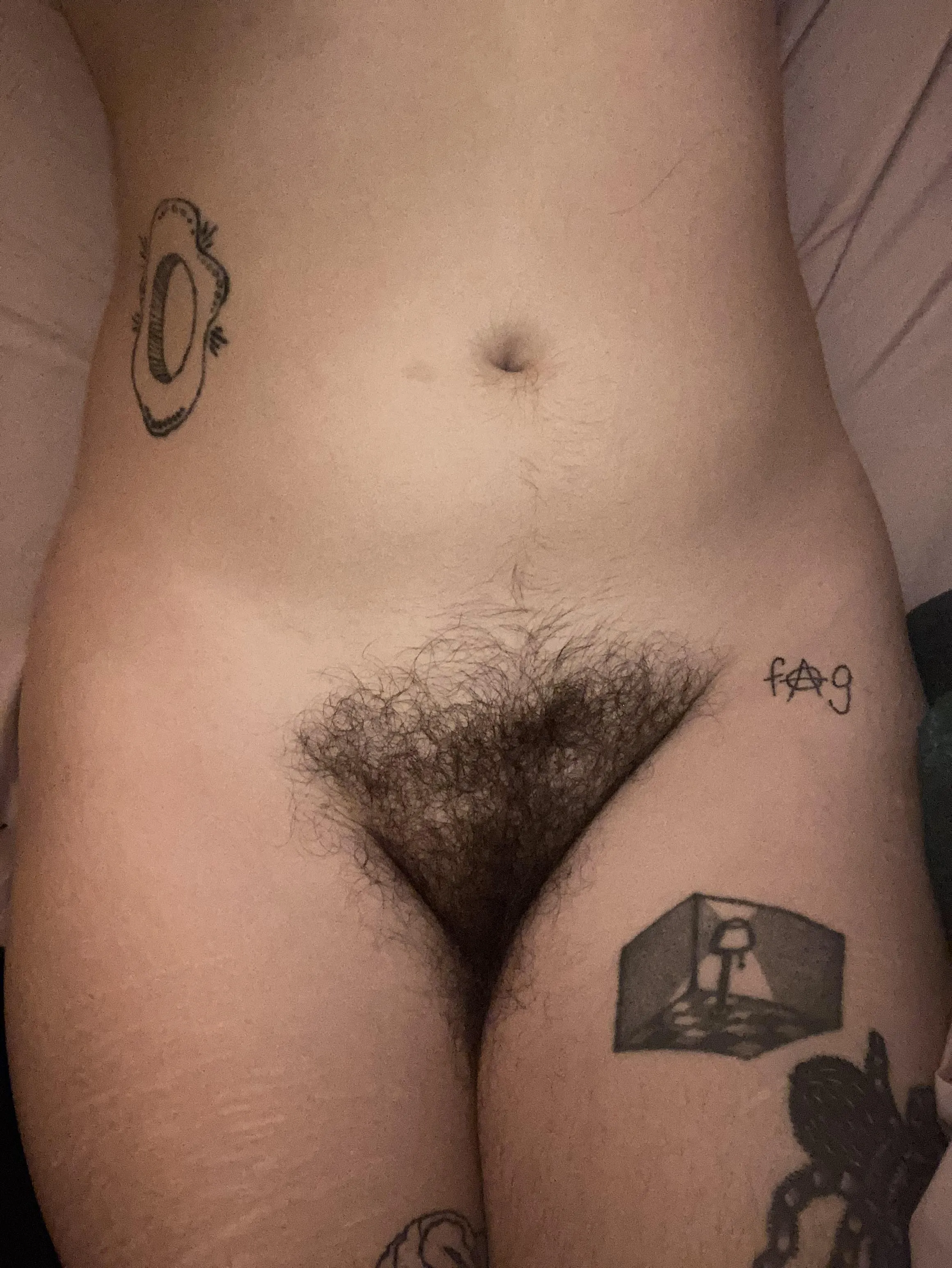 my bush has never been so full