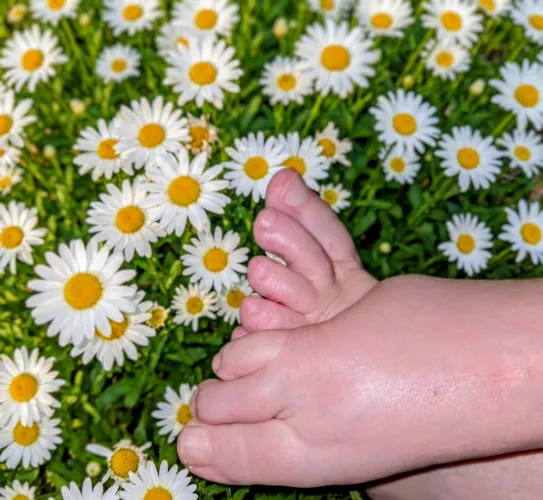 What tattoo should I get on my new foot?